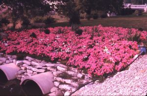 NBHA slides1284